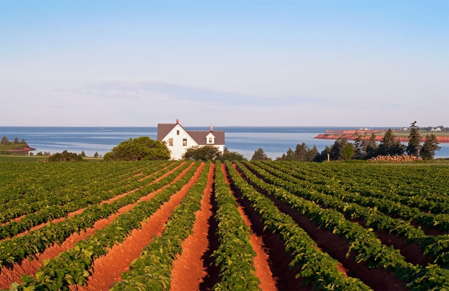 PEI countryside — Jeff Somers & Associates wealth management website hero image